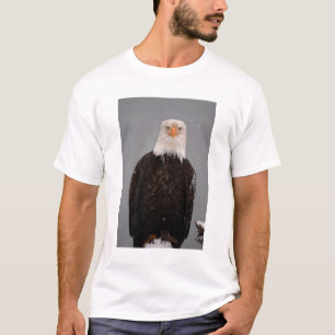Camiseta Retrato de águila calva en la nieve, Haliaetus