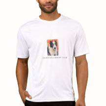 Retrato de Border Collie Pintura Digital