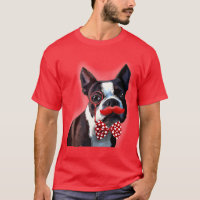 Retrato de Boston Terrier con cordón rojo y 2