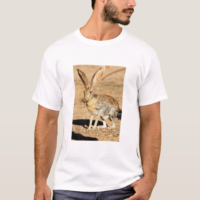 Camiseta Retrato de conejo de caracol de Antelope, Arizona (Anverso)