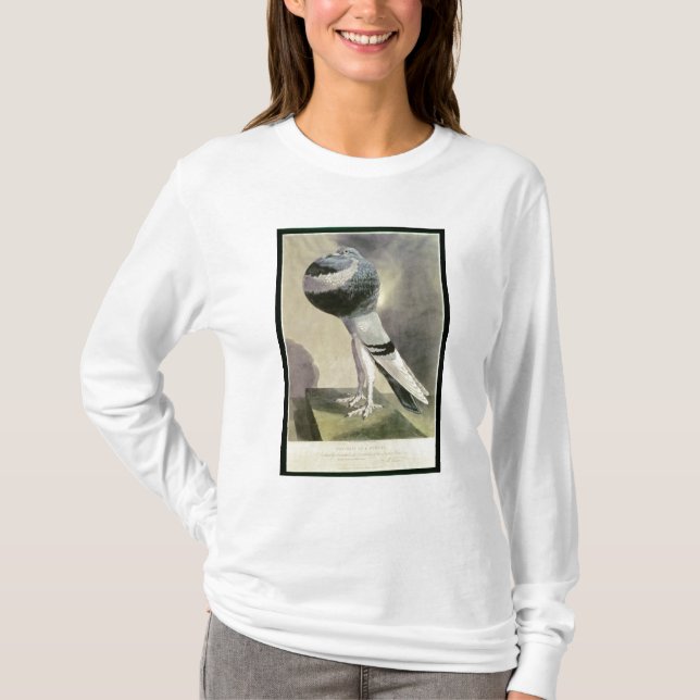 Camiseta Retrato de la paloma del Pouter (Anverso)