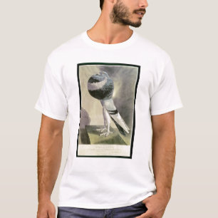 Camiseta Retrato de la paloma del Pouter