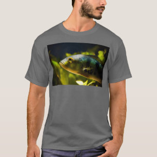 Camiseta Retrato de pez rayado acuario