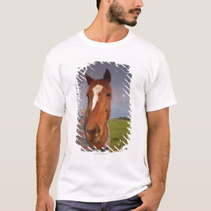Camiseta Retrato de un caballo con un arco iris en el cielo
