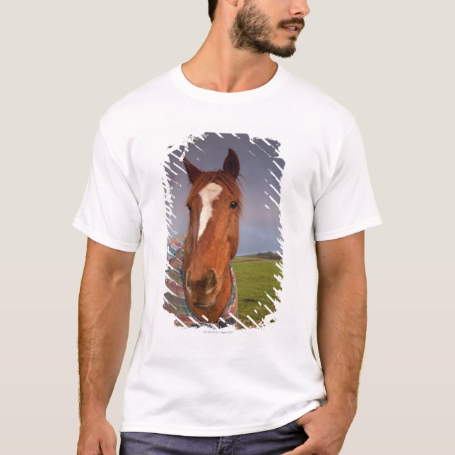 Camiseta Retrato de un caballo con un arco iris en el cielo (Anverso)