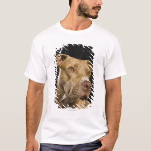 Camiseta Retrato del pitbull rojo de la nariz con negro