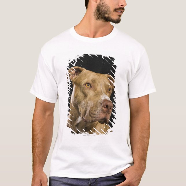 Camiseta Retrato del pitbull rojo de la nariz con negro (Anverso)