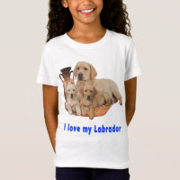 Retriever de Labrador