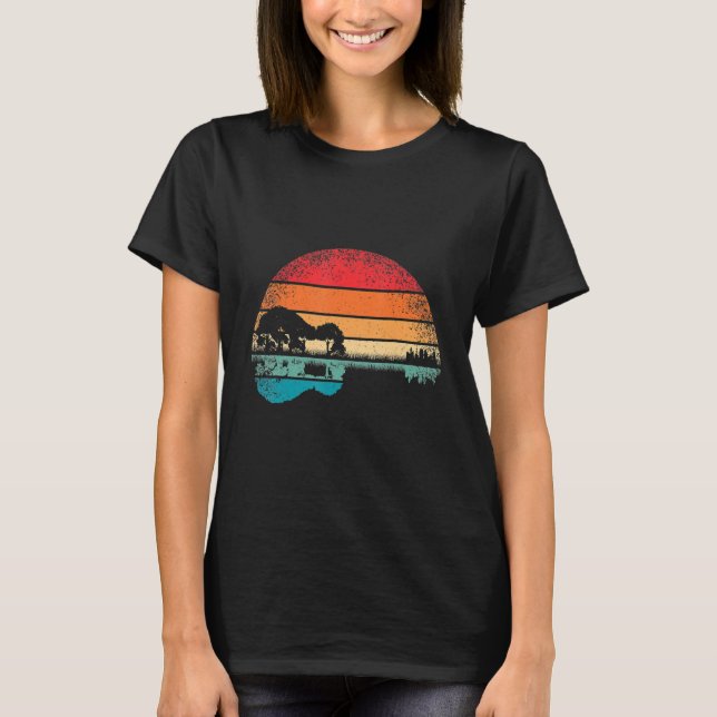 Camiseta Retro Guitar Lake Sunset Guitarist Music (Anverso)
