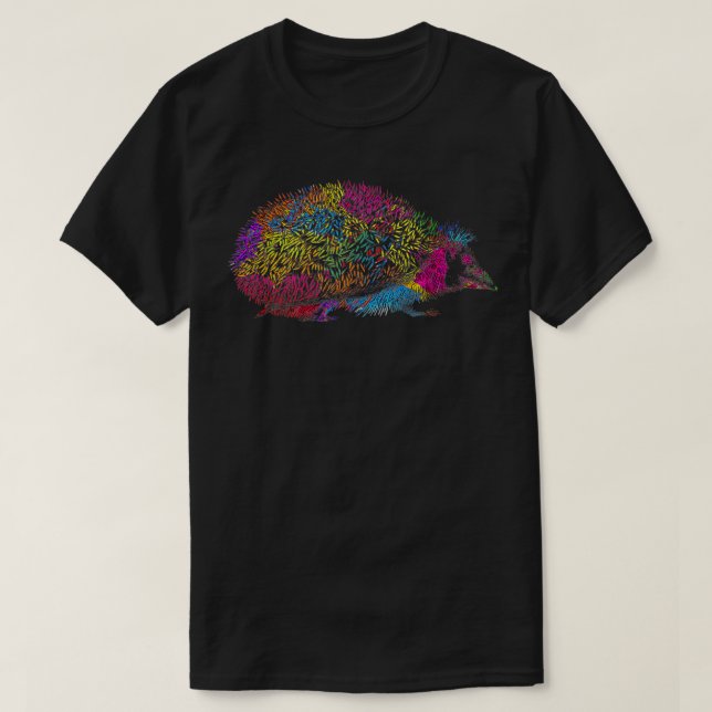 Camiseta Retro Hedgehog (Diseño del anverso)