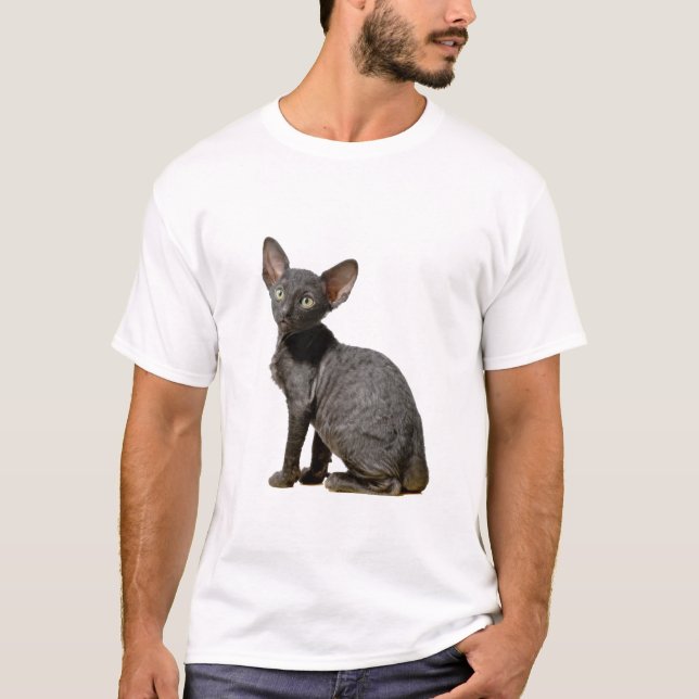 Camiseta Rex de Cornualles (Anverso)