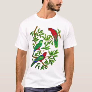 Camiseta Rey australiano Parrots