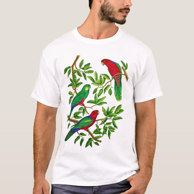 Camiseta Rey australiano Parrots (Anverso)
