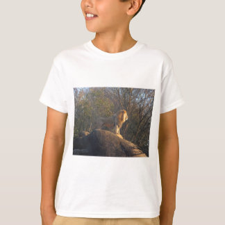 Camiseta Rey De La Selva