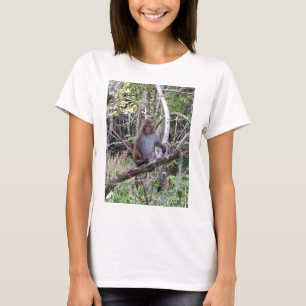 Camiseta rhesus macaque
