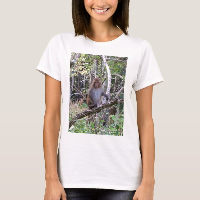 Camiseta rhesus macaque (Anverso)