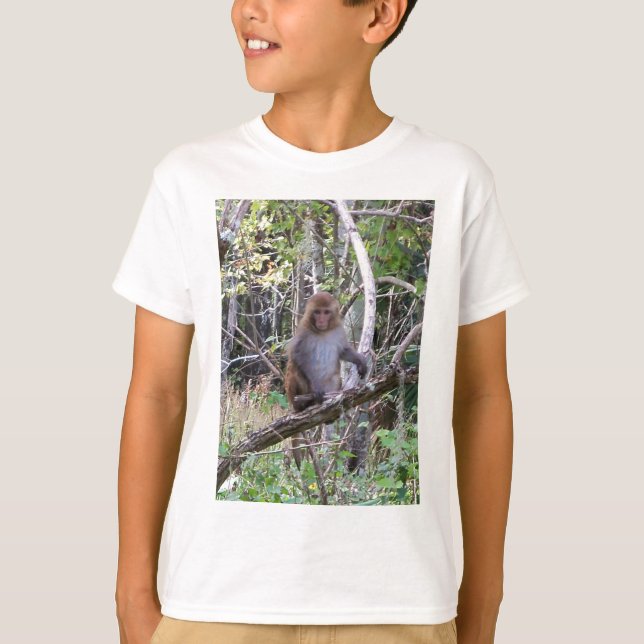Camiseta rhesus macaque (Anverso)