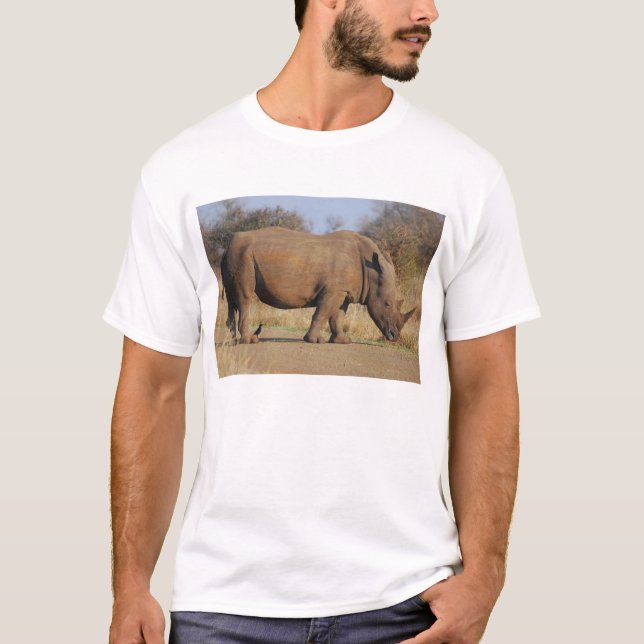 Camiseta Rhino (Anverso)