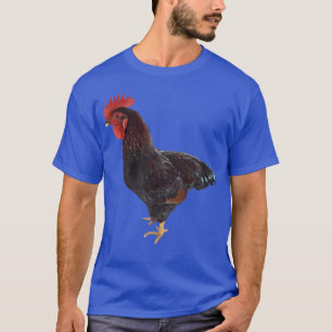 Camiseta Rhode Island Red Roooster