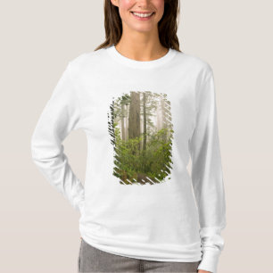 Camiseta Rhododendron floreciendo entre las Secoyas de la C