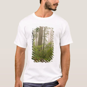 Camiseta Rhododendron floreciendo entre las secuoyas coster
