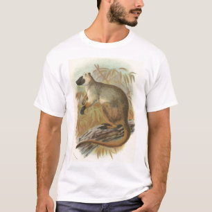 Camiseta Richard Lydekker - Árbol de Queensland