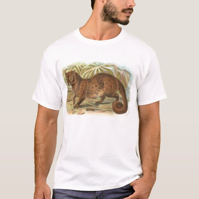 Camiseta Richard Lydekker - civeta de palma común (Anverso)
