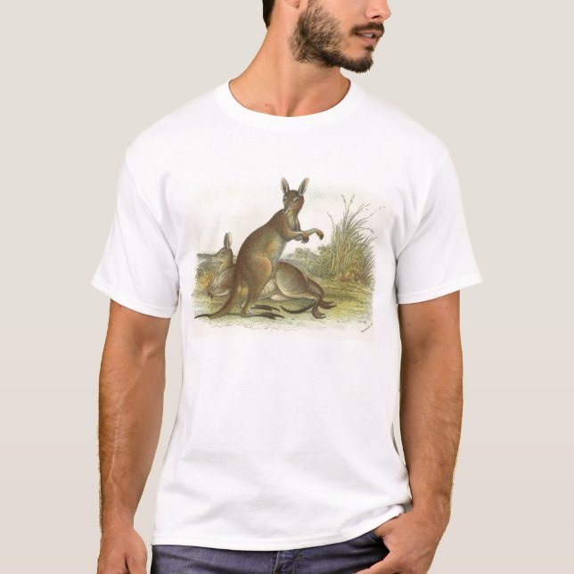 Camiseta Richard Lydekker - Gran canguro gris (Anverso)
