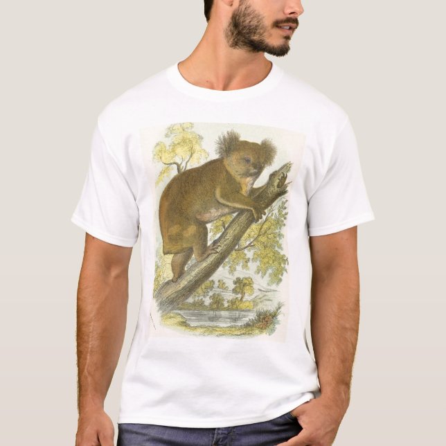 Camiseta Richard Lydekker - Koala (Anverso)