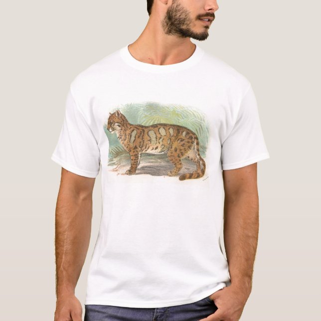 Camiseta Richard Lydekker - leopardo nublado (Anverso)