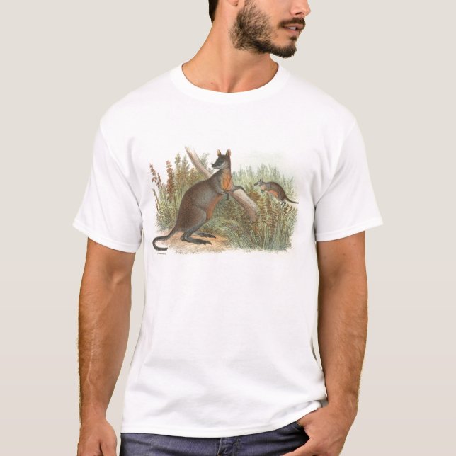 Camiseta Richard Lydekker - Wallaby de cola negra (Anverso)
