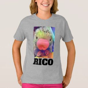 CAMISETA RICO ZOO PORCUPINE