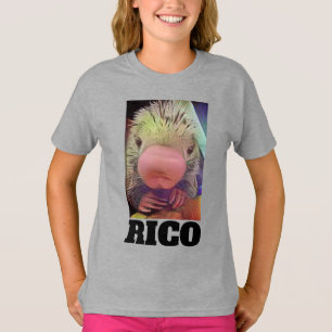 CAMISETA RICO ZOO PUERCOESPÍN