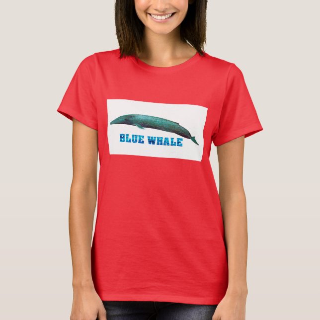 Camiseta Ringer-T-Shirt (Anverso)