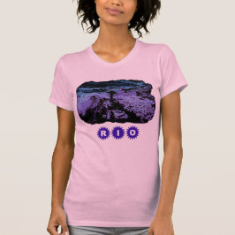 CAMISETA RIO DE JANEIRO