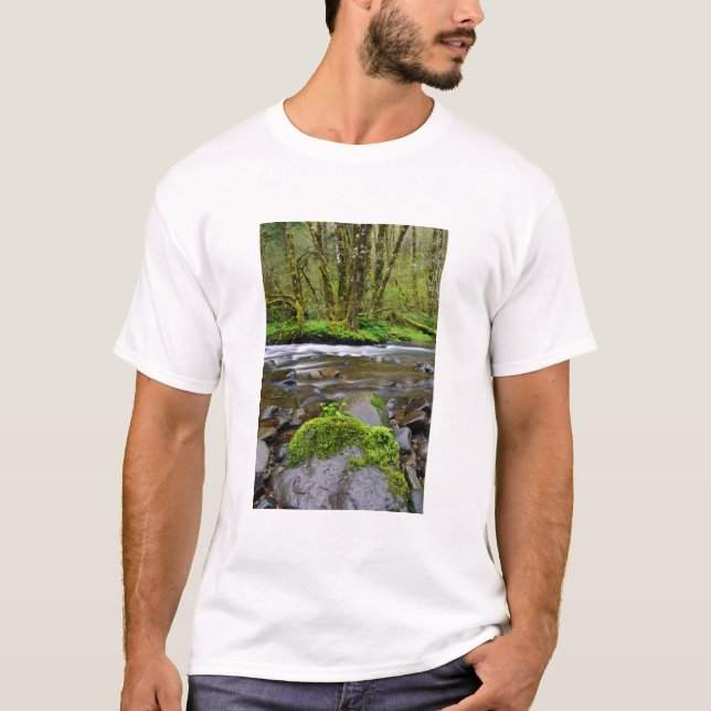 Camiseta Río en bosque verde, Oregón (Anverso)