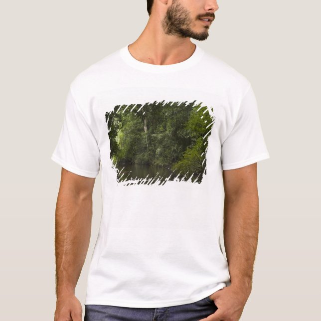 Camiseta Río Mapari, Mapari Rupununi, Guyana. (Anverso)