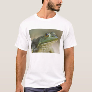 Camiseta Río Nacional Búfalo, Noroeste de Arkansas