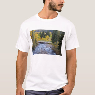 Camiseta Río Provo y árboles de álamo temblón