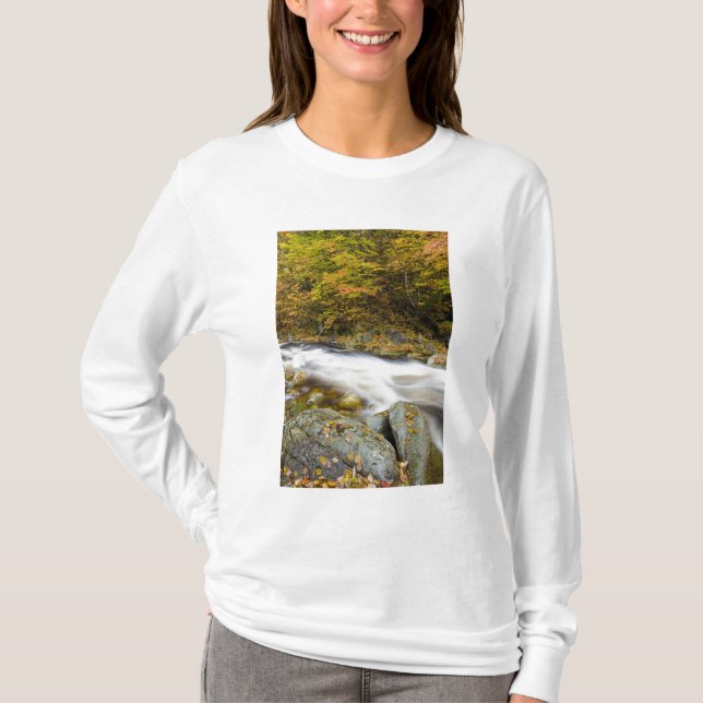 Camiseta Roaring Brook en otoño en Vermont's Green (Anverso)