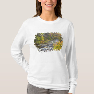 Camiseta Roaring Brook en otoño en Vermont's Green 2