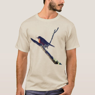 Camiseta Robin In Snow Nature