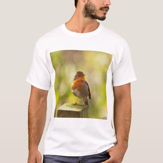 Camiseta Robin red breast bird (Anverso)