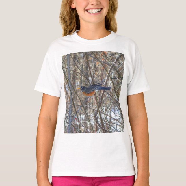 Camiseta Robin T-Shirt de Estados Unidos (Anverso)
