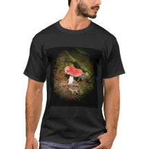 Roble rojo sombrero Russula hongo
