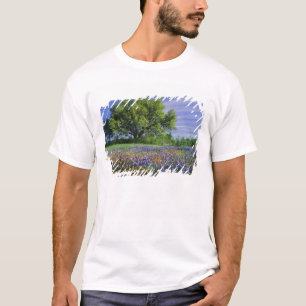 Camiseta Roble Vivo y Pincel de Texas, y Texas