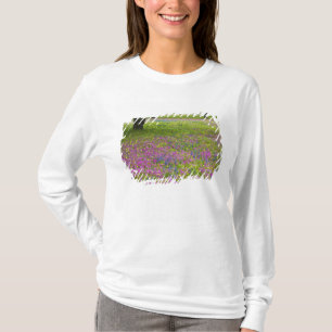 Camiseta Robles con campo de Phlox, Blue Bonnets