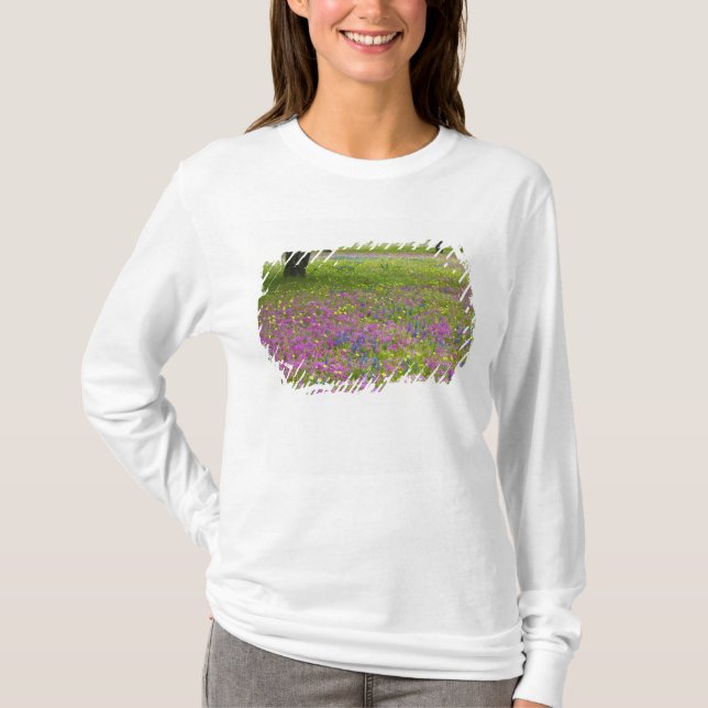 Camiseta Robles con campo de Phlox, Blue Bonnets (Anverso)