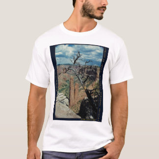 Camiseta Roca de la araña, monumento nacional AZ de Canyon