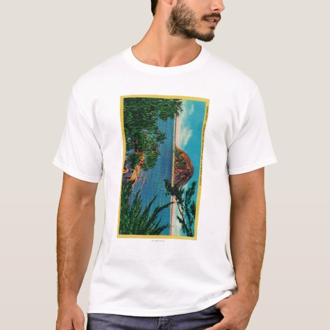 Camiseta Roca de Morro en el condado de San Luis_obispo (Anverso)